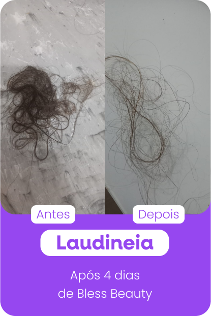 laudineia